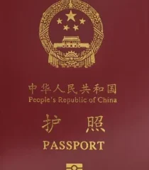 Ai Weiwei at the Royal Academy