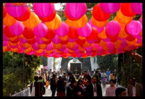 Of Pens and Tents: The Jaipur Literature Festival ’13